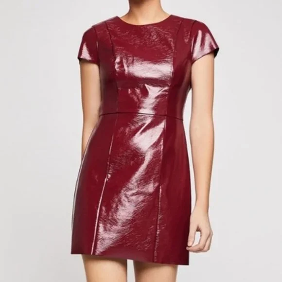 chinese dress ladies Hailey Strapless Faux Leather Minidress in Burgundy main image 1